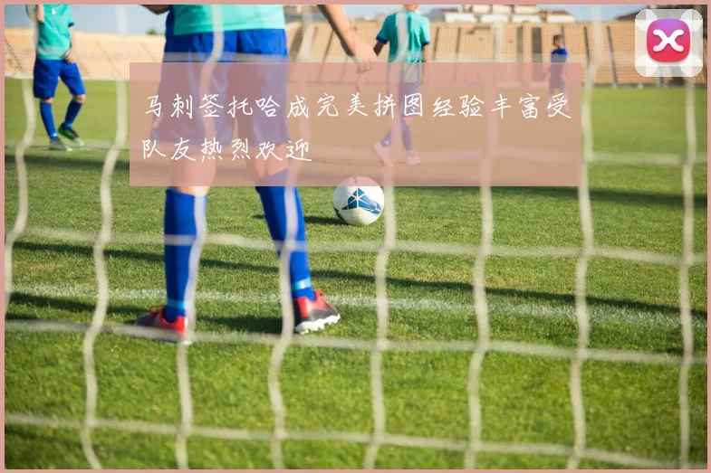 马刺签托哈成完美拼图经验丰富受队友热烈欢迎