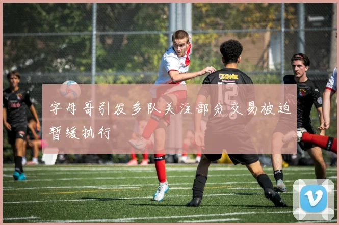 字母哥引发多队关注部分交易被迫暂缓执行